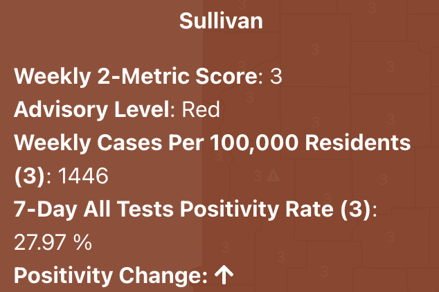Sullivan County